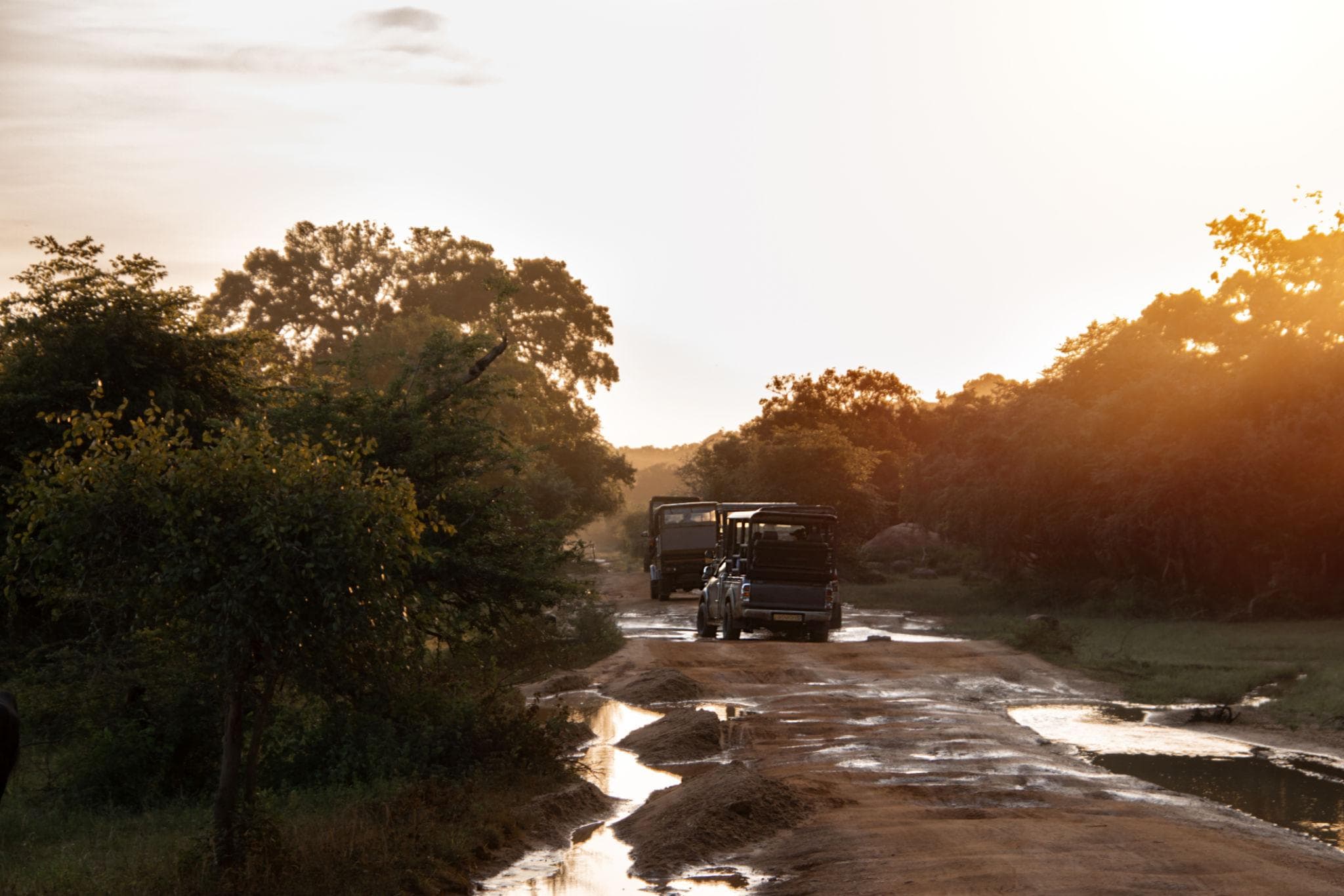 Yala National Park